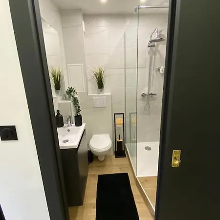 Black Touch - Fibre*parking*near Basel * サン・ルイ